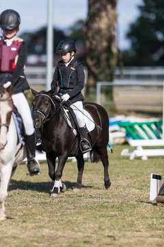 Bild 174 - Pony Akademie Turnier
